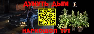 ешки Гай